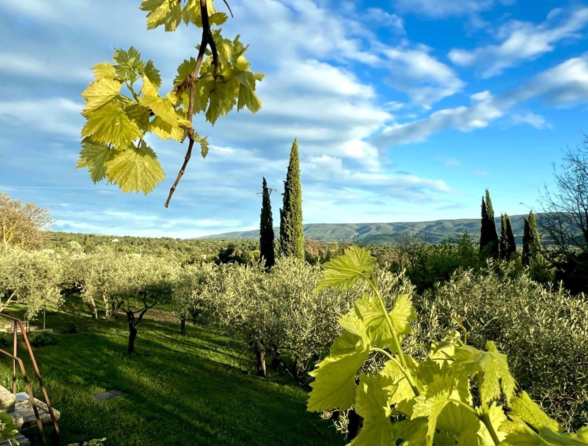 Provence Km28 Bed & Breakfast Gordes Dış mekan fotoğraf