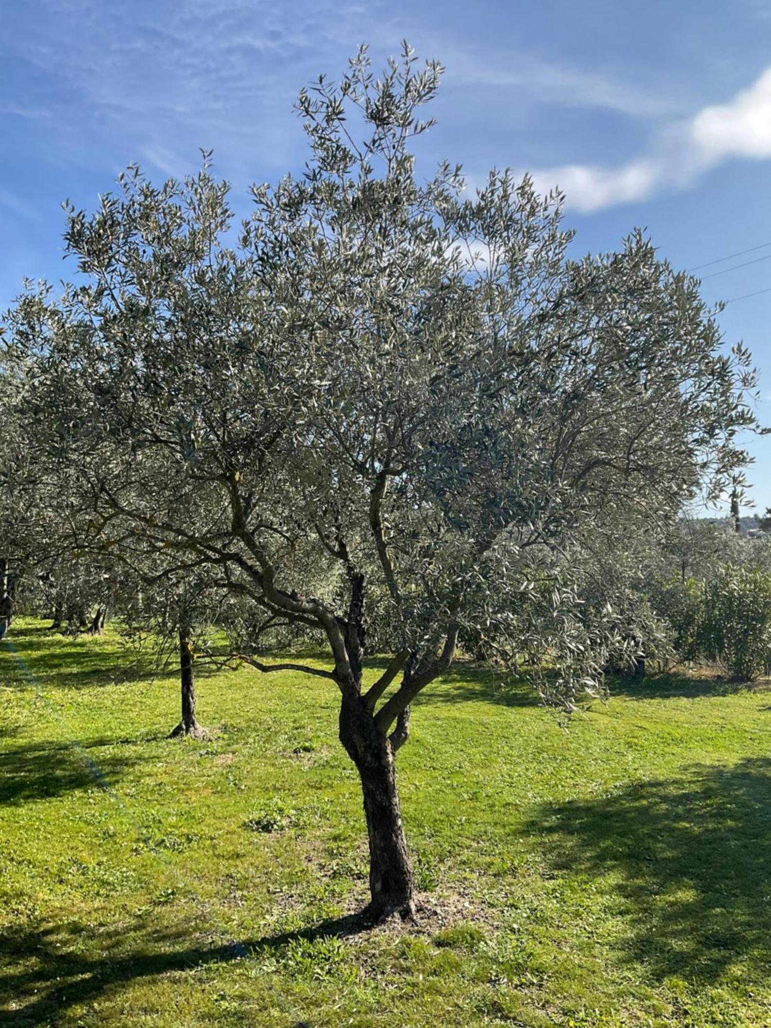 Provence Km28 Bed & Breakfast Gordes Dış mekan fotoğraf