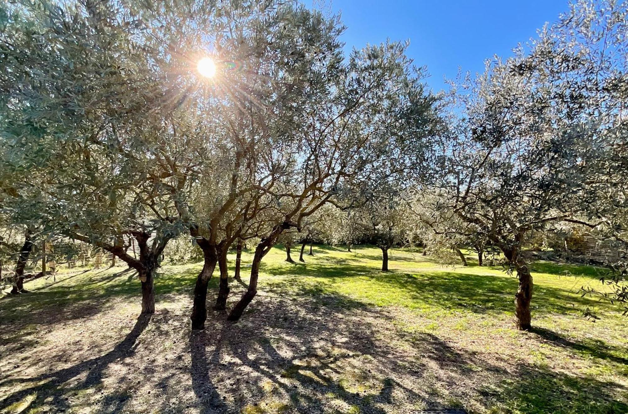 Provence Km28 Bed & Breakfast Gordes Dış mekan fotoğraf