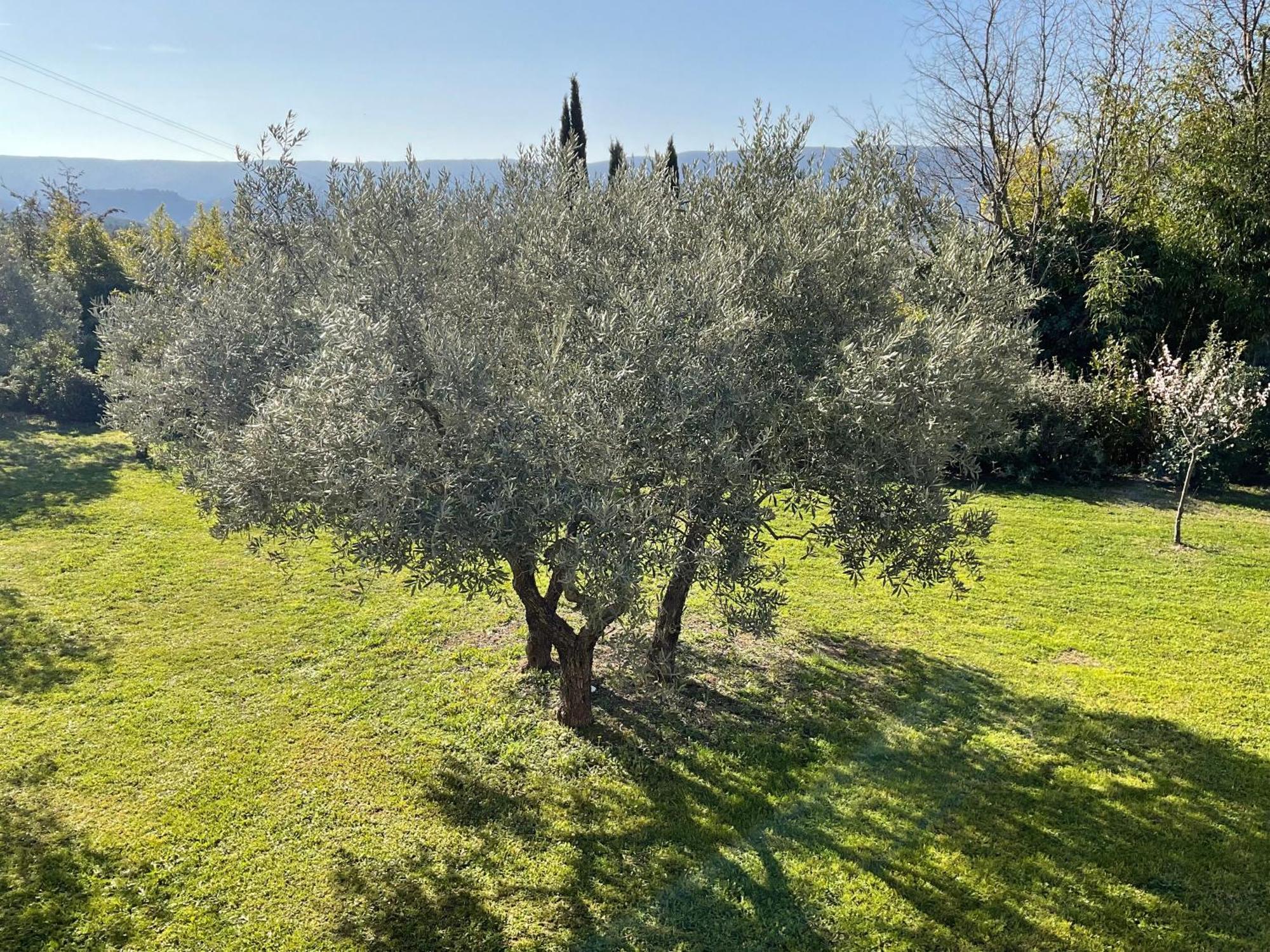 Provence Km28 Bed & Breakfast Gordes Dış mekan fotoğraf