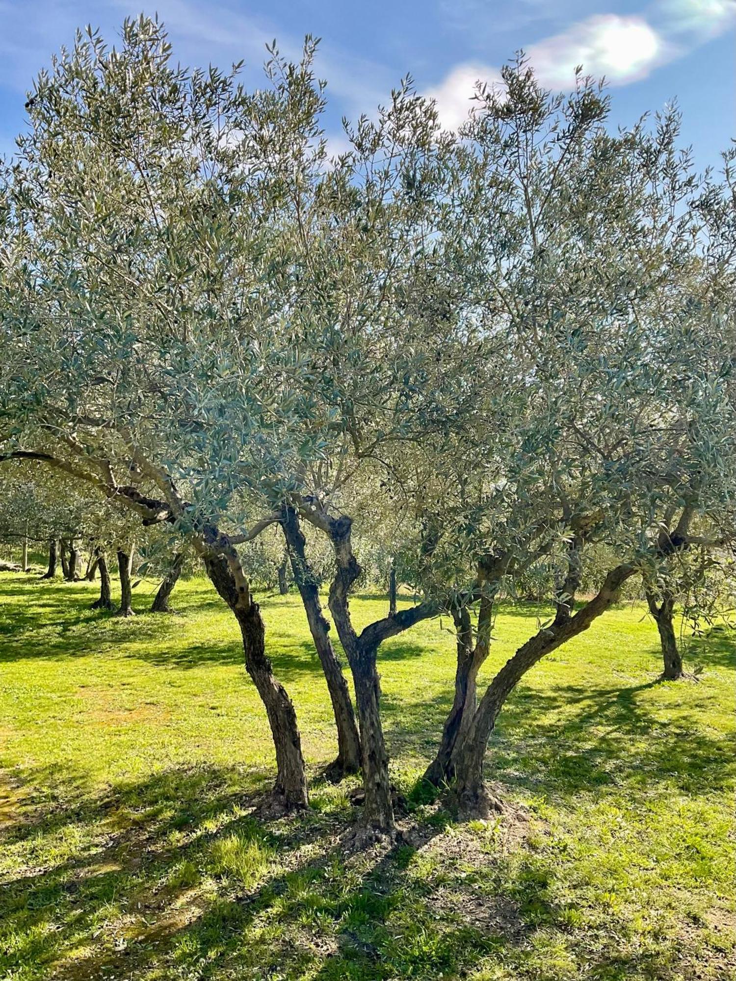 Provence Km28 Bed & Breakfast Gordes Dış mekan fotoğraf