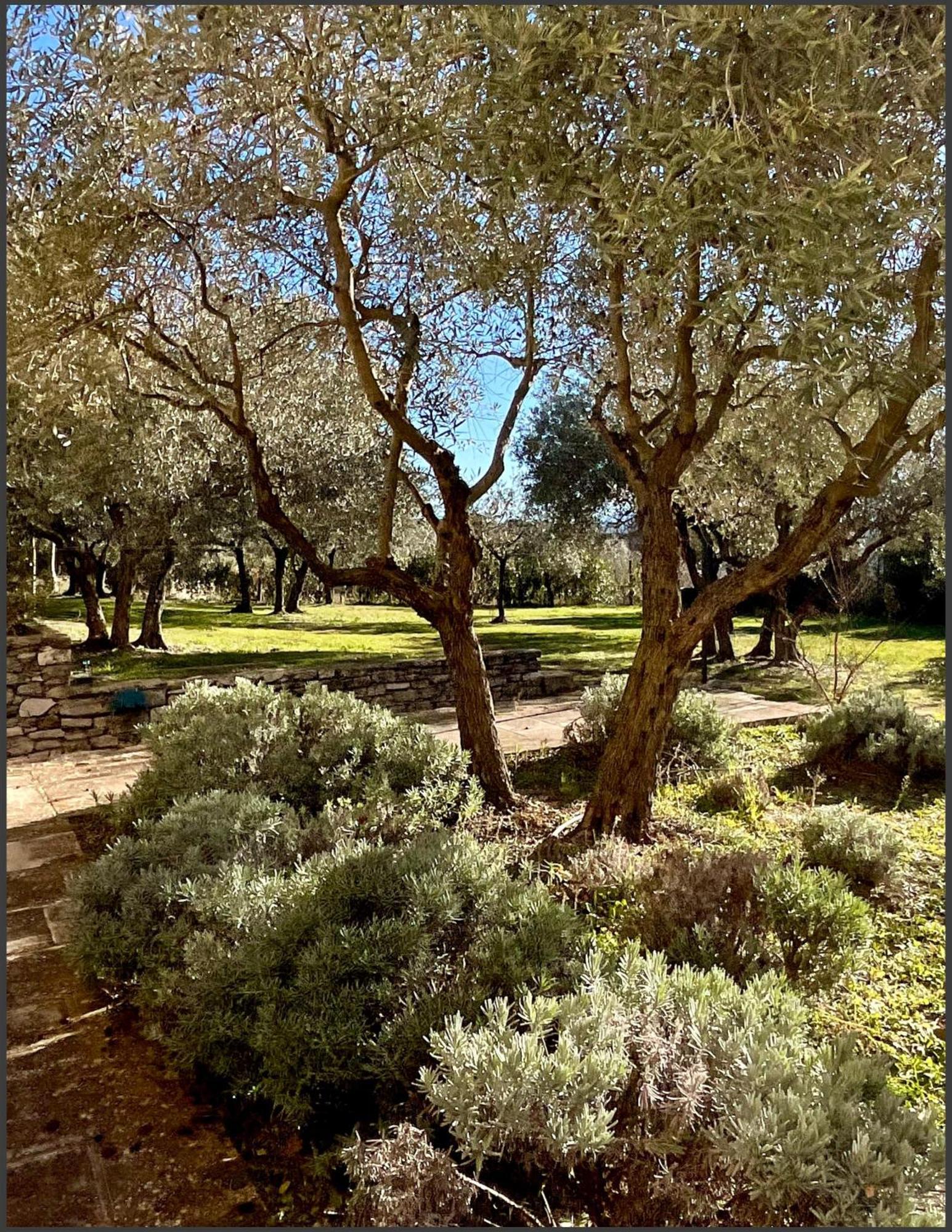 Provence Km28 Bed & Breakfast Gordes Dış mekan fotoğraf
